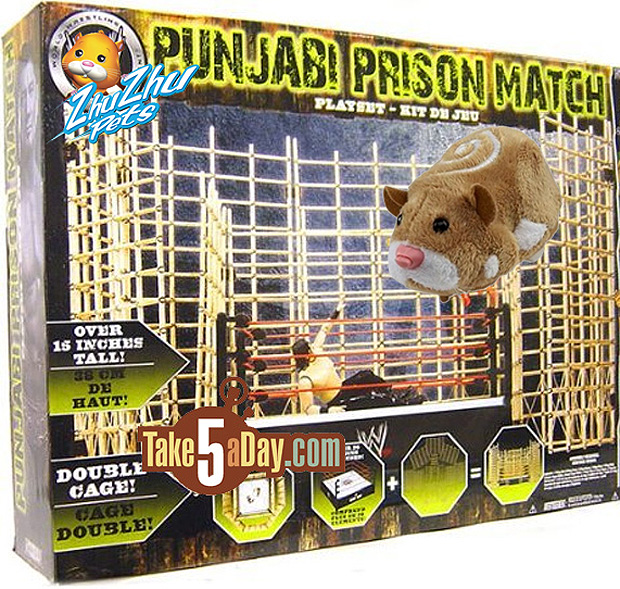 punjabi cage2